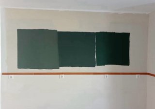 Pintor Profesional