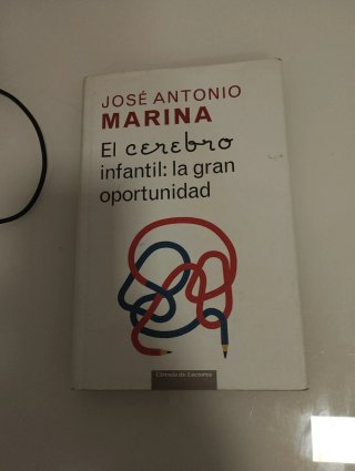 El cerebro infantil la gran oportunidad