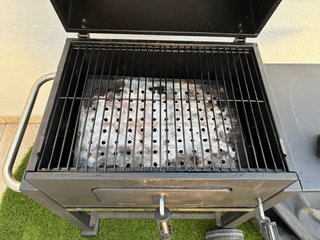 Barbacoa