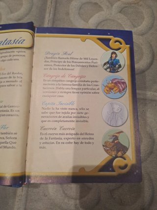 Libro Geronimo Stilton -NOVENO VIAJE-