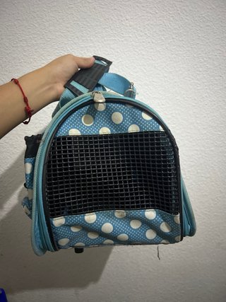 Transportín perro pequeño lunares