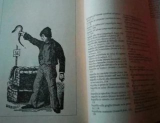 Libro la cucina del mare