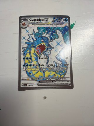 Cartas Pokémon Colmilargo, Arcanine, Gyarados, Mim