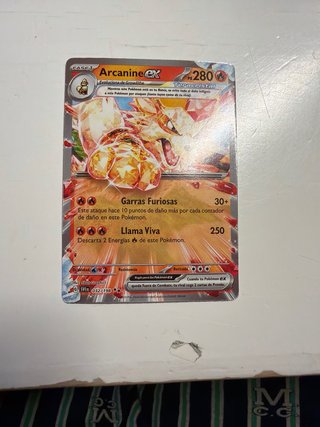 Cartas Pokémon Colmilargo, Arcanine, Gyarados, Mim