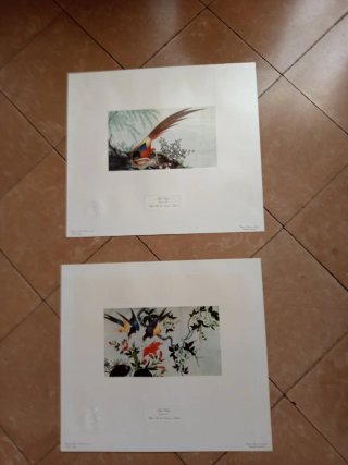 Litografías Arte Chino Palacio Real