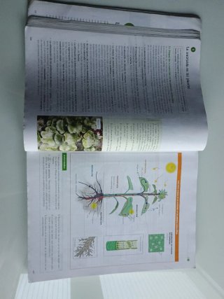 Libro de Biología, Geología y CCAA 1 Bachillerato