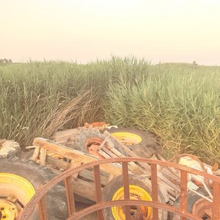 Lote Ruedas Tractor Varias Medidas