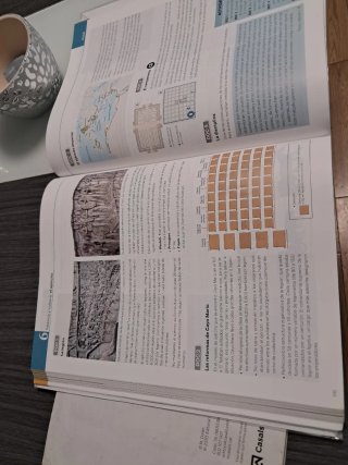 Libro latin