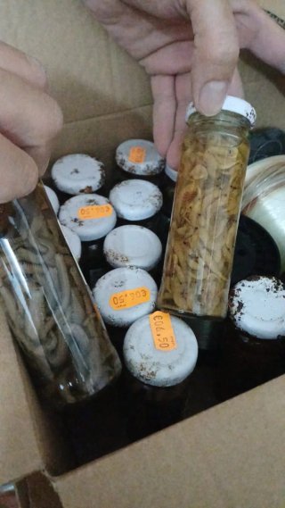 Set di attrezzature da pesca, pesi, esca, galleggianti...