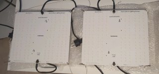 Panel LED cultivo HLG 100 Rspec Samsung