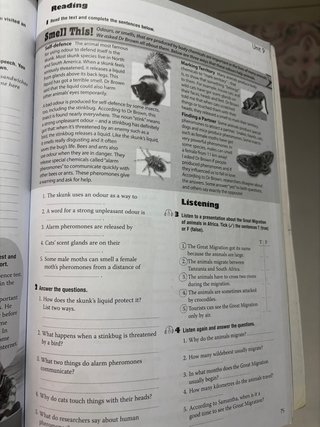 New English In Use Workbook 3ESO Burlington