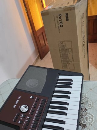 Teclado Korg Pa700 Profesional Arranger