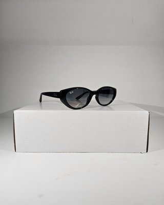 Occhiali Ray Ban RB 4457D Nero/Grigio