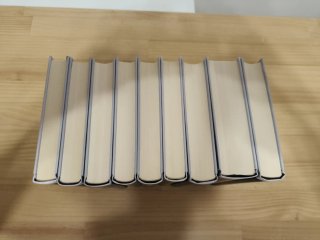 Saga completa libros The Witcher Geralt de Rivia