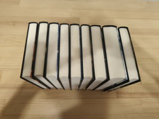 Saga completa libros The Witcher Geralt de Rivia