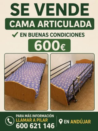 Cama Articulada 600€