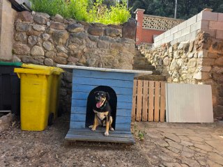 Caseta para perro azul y blanca