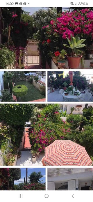 Alquiler vacacional