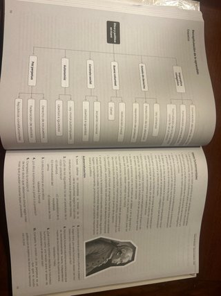 Paideia. Textos de Filosofía para la PAU. Andal...