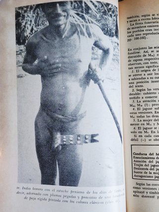 Lo crudo y lo cocido