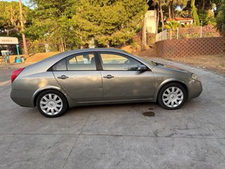 Nissan primera  P12 2005
