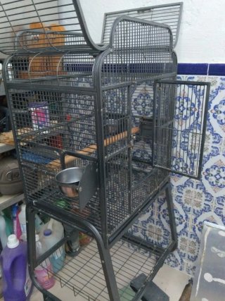 Jaula grande para loro