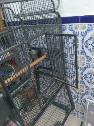 Jaula grande para loro