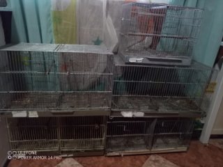 5 Jaulas para Pájaros (40cm y 60cm)
