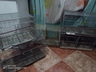 5 Jaulas para Pájaros (40cm y 60cm)