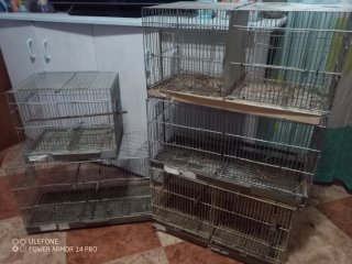 5 Jaulas para Pájaros (40cm y 60cm)