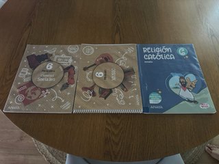 Libros sexto de primaria