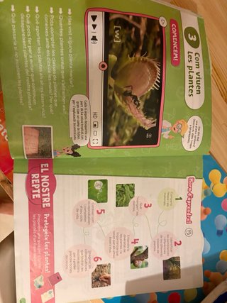 Libro SM 3 Primaria Coneiximent del medi