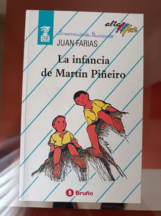 Libro " La Infancia de Martín Piñeiro" Bruño