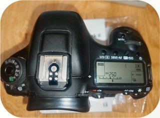 Canon 7D Mark II averiada