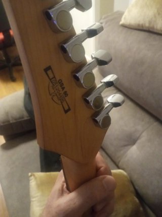Guitarra Eléctrica Ibanez GIO