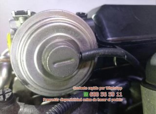 306d3 motor completo bmw 5 (e60) 530 rec Ref:51810