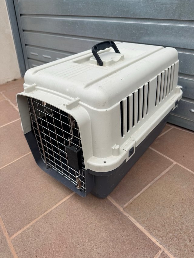 Transportines medianos para mascotas