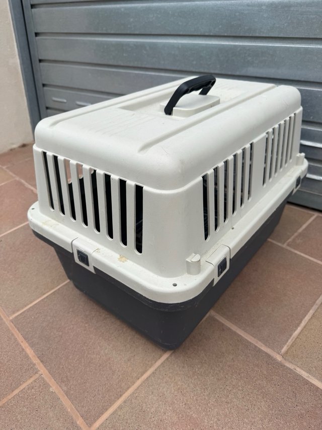 Transportines medianos para mascotas