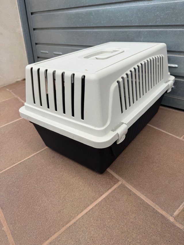 Transportines medianos para mascotas