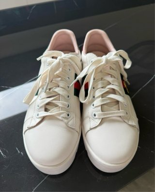Tenis Gucci Blanco con Abeja