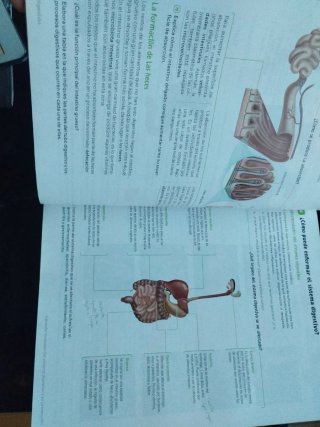 Biología y Geología. 3 Secundaria. Revuela. Cas...