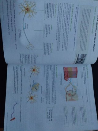 Biología y Geología. 3 Secundaria. Revuela. Cas...
