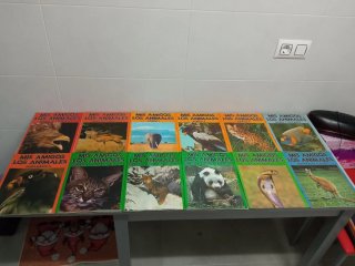 Colección de Cromos Mis Amigos Los Animales