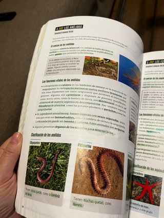 Biología Y Geología 1 Secundaria