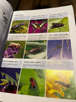Biología Y Geología 1 Secundaria
