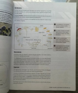 Proyecto: FanFest - Biología, Geología y Cienci...