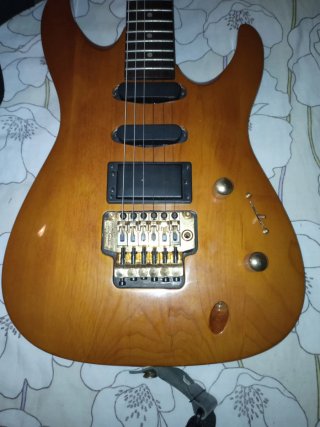 Guitarra Eléctrica + bandolera + Funda
