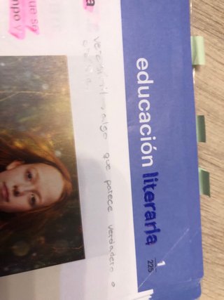 Lengua castellana y literatura 2 ESO : código a...