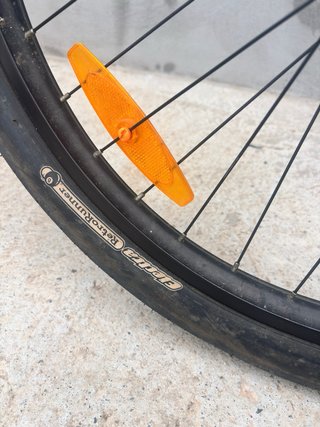 Bicicleta Electra Coaster O'Neill Edición Limitada