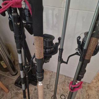 Lote de pesca: cañas y carretes